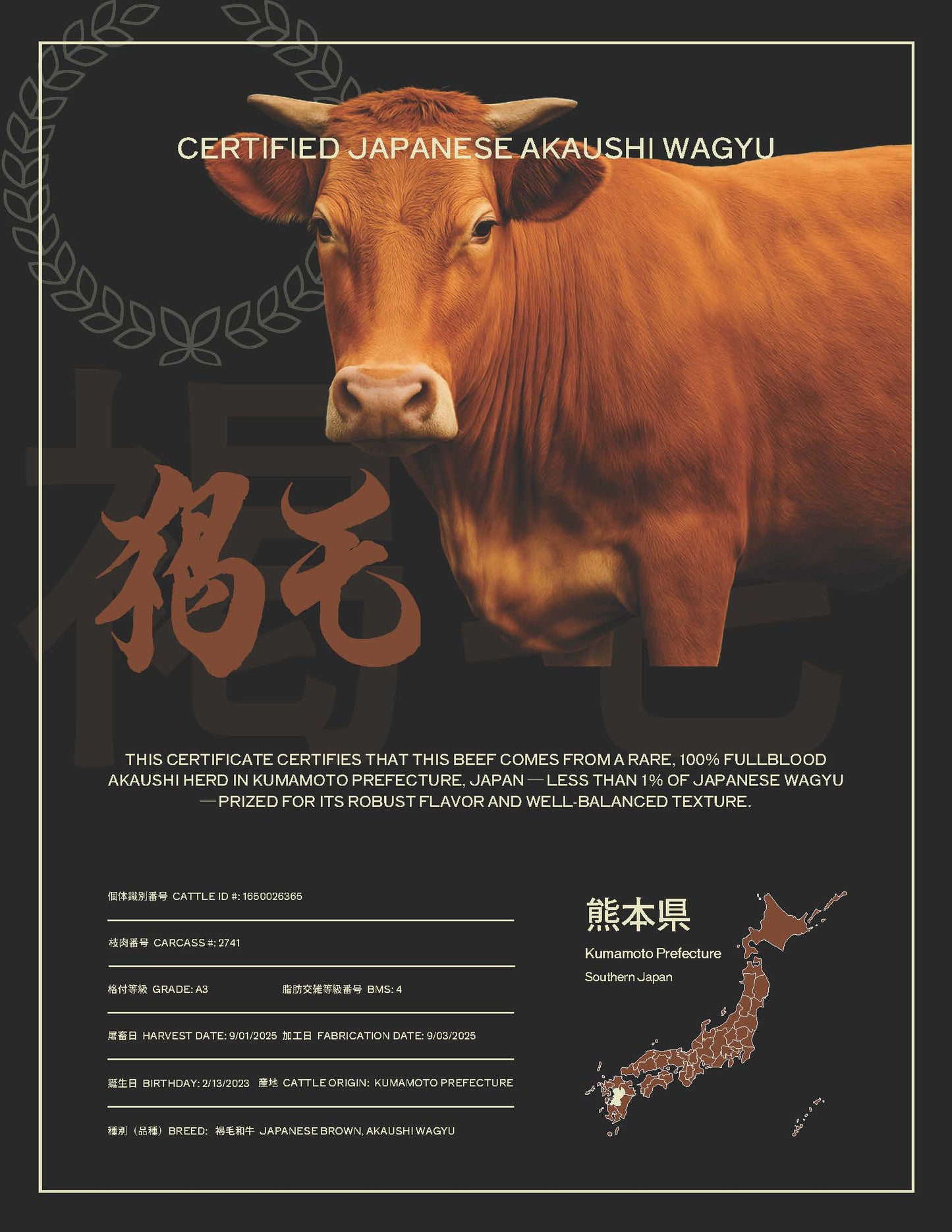 A3 BMS 4 | Akaushi Beef, Kumamoto | Japanese Brown Wagyu | Striploin