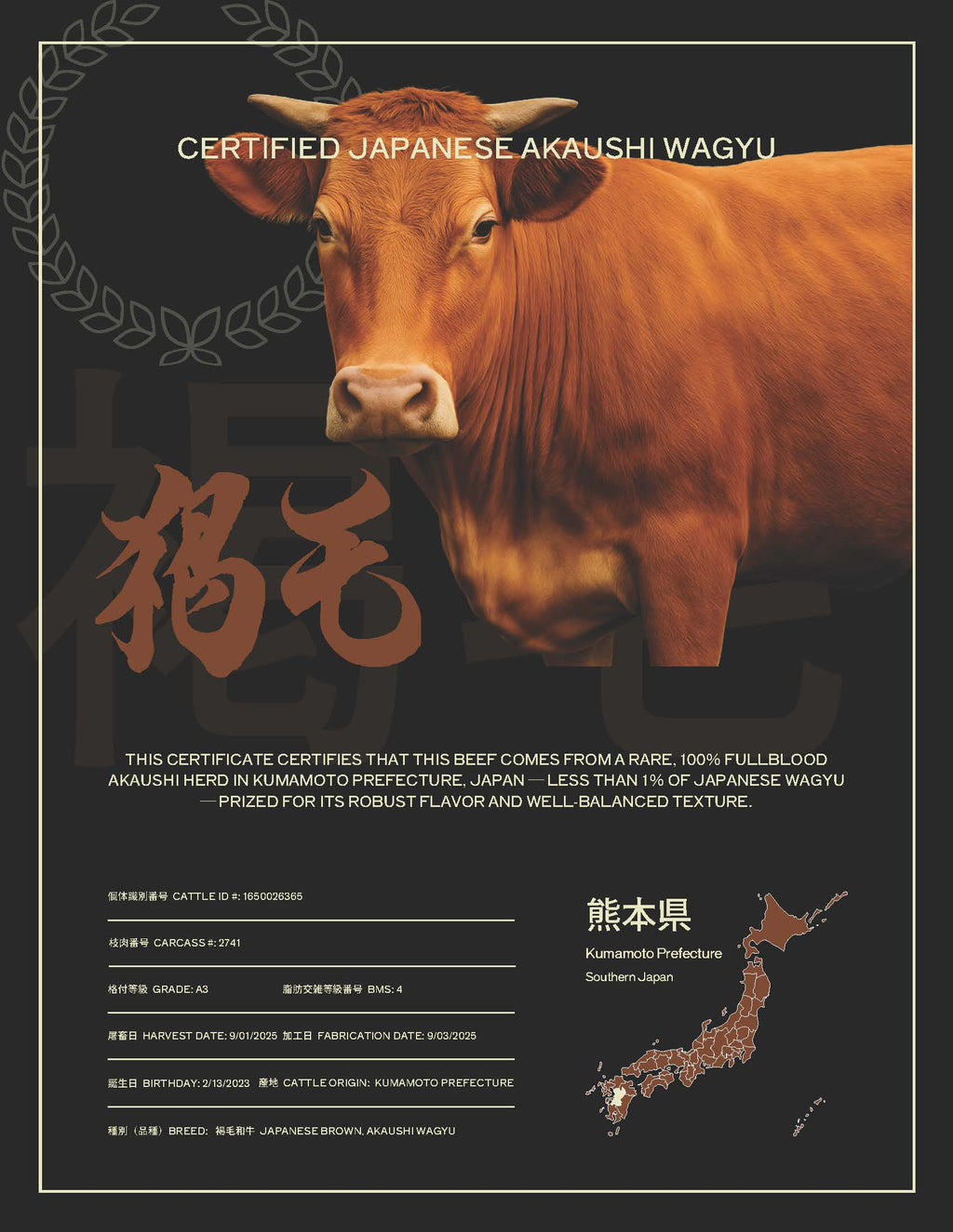 A3 BMS 4 | Akaushi Beef, Kumamoto | Japanese Brown Wagyu | Striploin